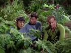 ariane179254_StarTrek_2x05_TheApple_0895.jpg