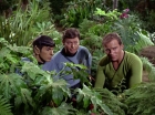 ariane179254_StarTrek_2x05_TheApple_0896.jpg