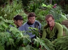 Filename=ariane179254_StarTrek_2x05_TheApple_0897.jpg
Filesize=223KiB
Dimensions=1440x1080
Date added=Jan 18, 2012 ariane179254_StarTrek_2x05_TheApple_0897.jpg