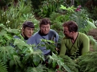 ariane179254_StarTrek_2x05_TheApple_0898.jpg