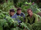 ariane179254_StarTrek_2x05_TheApple_0899.jpg