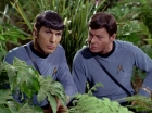 Filename=ariane179254_StarTrek_2x05_TheApple_0902.jpg
Filesize=156KiB
Dimensions=1440x1080
Date added=Jan 18, 2012 ariane179254_StarTrek_2x05_TheApple_0902.jpg