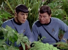 ariane179254_StarTrek_2x05_TheApple_0903.jpg