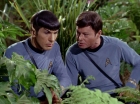 ariane179254_StarTrek_2x05_TheApple_0904.jpg