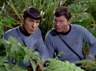 Filename=ariane179254_StarTrek_2x05_TheApple_0905.jpg
Filesize=155KiB
Dimensions=1440x1080
Date added=Jan 18, 2012 ariane179254_StarTrek_2x05_TheApple_0905.jpg
