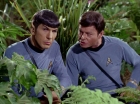 Filename=ariane179254_StarTrek_2x05_TheApple_0906.jpg
Filesize=157KiB
Dimensions=1440x1080
Date added=Jan 18, 2012 ariane179254_StarTrek_2x05_TheApple_0906.jpg