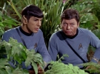 Filename=ariane179254_StarTrek_2x05_TheApple_0907.jpg
Filesize=163KiB
Dimensions=1440x1080
Date added=Jan 18, 2012 ariane179254_StarTrek_2x05_TheApple_0907.jpg