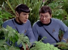 Filename=ariane179254_StarTrek_2x05_TheApple_0908.jpg
Filesize=153KiB
Dimensions=1440x1080
Date added=Jan 18, 2012 ariane179254_StarTrek_2x05_TheApple_0908.jpg