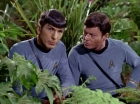 Filename=ariane179254_StarTrek_2x05_TheApple_0909.jpg
Filesize=158KiB
Dimensions=1440x1080
Date added=Jan 18, 2012 ariane179254_StarTrek_2x05_TheApple_0909.jpg