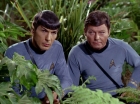 Filename=ariane179254_StarTrek_2x05_TheApple_0910.jpg
Filesize=174KiB
Dimensions=1440x1080
Date added=Jan 18, 2012 ariane179254_StarTrek_2x05_TheApple_0910.jpg