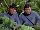 Filename=ariane179254_StarTrek_2x05_TheApple_0911.jpg
Filesize=157KiB
Dimensions=1440x1080
Date added=Jan 18, 2012 ariane179254_StarTrek_2x05_TheApple_0911.jpg