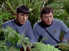 Filename=ariane179254_StarTrek_2x05_TheApple_0912.jpg
Filesize=179KiB
Dimensions=1440x1080
Date added=Jan 18, 2012 ariane179254_StarTrek_2x05_TheApple_0912.jpg