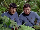 Filename=ariane179254_StarTrek_2x05_TheApple_0913.jpg
Filesize=176KiB
Dimensions=1440x1080
Date added=Jan 18, 2012 ariane179254_StarTrek_2x05_TheApple_0913.jpg