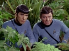 Filename=ariane179254_StarTrek_2x05_TheApple_0914.jpg
Filesize=178KiB
Dimensions=1440x1080
Date added=Jan 18, 2012 ariane179254_StarTrek_2x05_TheApple_0914.jpg