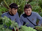 Filename=ariane179254_StarTrek_2x05_TheApple_0915.jpg
Filesize=167KiB
Dimensions=1440x1080
Date added=Jan 18, 2012 ariane179254_StarTrek_2x05_TheApple_0915.jpg