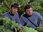 Filename=ariane179254_StarTrek_2x05_TheApple_0920.jpg
Filesize=176KiB
Dimensions=1440x1080
Date added=Jan 18, 2012 ariane179254_StarTrek_2x05_TheApple_0920.jpg