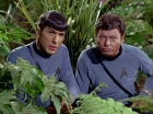 Filename=ariane179254_StarTrek_2x05_TheApple_0921.jpg
Filesize=178KiB
Dimensions=1440x1080
Date added=Jan 18, 2012 ariane179254_StarTrek_2x05_TheApple_0921.jpg
