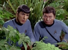 Filename=ariane179254_StarTrek_2x05_TheApple_0922.jpg
Filesize=167KiB
Dimensions=1440x1080
Date added=Jan 18, 2012 ariane179254_StarTrek_2x05_TheApple_0922.jpg