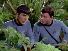 ariane179254_StarTrek_2x05_TheApple_0923.jpg