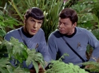 Filename=ariane179254_StarTrek_2x05_TheApple_0924.jpg
Filesize=177KiB
Dimensions=1440x1080
Date added=Jan 18, 2012 ariane179254_StarTrek_2x05_TheApple_0924.jpg