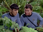 Filename=ariane179254_StarTrek_2x05_TheApple_0925.jpg
Filesize=176KiB
Dimensions=1440x1080
Date added=Jan 18, 2012 ariane179254_StarTrek_2x05_TheApple_0925.jpg