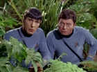 Filename=ariane179254_StarTrek_2x05_TheApple_0926.jpg
Filesize=169KiB
Dimensions=1440x1080
Date added=Jan 18, 2012 ariane179254_StarTrek_2x05_TheApple_0926.jpg