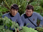 Filename=ariane179254_StarTrek_2x05_TheApple_0927.jpg
Filesize=177KiB
Dimensions=1440x1080
Date added=Jan 18, 2012 ariane179254_StarTrek_2x05_TheApple_0927.jpg