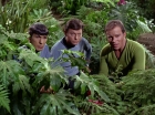 Filename=ariane179254_StarTrek_2x05_TheApple_0928.jpg
Filesize=244KiB
Dimensions=1440x1080
Date added=Jan 18, 2012 ariane179254_StarTrek_2x05_TheApple_0928.jpg