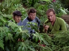Filename=ariane179254_StarTrek_2x05_TheApple_0929.jpg
Filesize=231KiB
Dimensions=1440x1080
Date added=Jan 18, 2012 ariane179254_StarTrek_2x05_TheApple_0929.jpg
