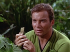 Filename=ariane179254_StarTrek_2x05_TheApple_0940.jpg
Filesize=136KiB
Dimensions=1440x1080
Date added=Jan 18, 2012 ariane179254_StarTrek_2x05_TheApple_0940.jpg