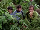 Filename=ariane179254_StarTrek_2x05_TheApple_0946.jpg
Filesize=242KiB
Dimensions=1440x1080
Date added=Jan 18, 2012 ariane179254_StarTrek_2x05_TheApple_0946.jpg