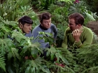Filename=ariane179254_StarTrek_2x05_TheApple_0947.jpg
Filesize=245KiB
Dimensions=1440x1080
Date added=Jan 18, 2012 ariane179254_StarTrek_2x05_TheApple_0947.jpg