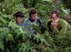 ariane179254_StarTrek_2x05_TheApple_0948.jpg