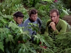 Filename=ariane179254_StarTrek_2x05_TheApple_0949.jpg
Filesize=241KiB
Dimensions=1440x1080
Date added=Jan 18, 2012 ariane179254_StarTrek_2x05_TheApple_0949.jpg