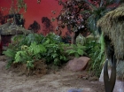 Filename=ariane179254_StarTrek_2x05_TheApple_1236.jpg
Filesize=229KiB
Dimensions=1440x1080
Date added=Jan 18, 2012 ariane179254_StarTrek_2x05_TheApple_1236.jpg