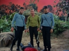 Filename=ariane179254_StarTrek_2x05_TheApple_1253.jpg
Filesize=196KiB
Dimensions=1440x1080
Date added=Jan 18, 2012 ariane179254_StarTrek_2x05_TheApple_1253.jpg