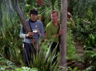 Filename=ariane179254_StarTrek_2x05_TheApple_1333.jpg
Filesize=201KiB
Dimensions=1440x1080
Date added=Jan 18, 2012 ariane179254_StarTrek_2x05_TheApple_1333.jpg