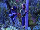 Filename=ariane179254_StarTrek_2x05_TheApple_1359.jpg
Filesize=204KiB
Dimensions=1440x1080
Date added=Jan 18, 2012 ariane179254_StarTrek_2x05_TheApple_1359.jpg