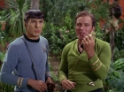 Filename=ariane179254_StarTrek_2x05_TheApple_1380.jpg
Filesize=169KiB
Dimensions=1440x1080
Date added=Jan 18, 2012 ariane179254_StarTrek_2x05_TheApple_1380.jpg