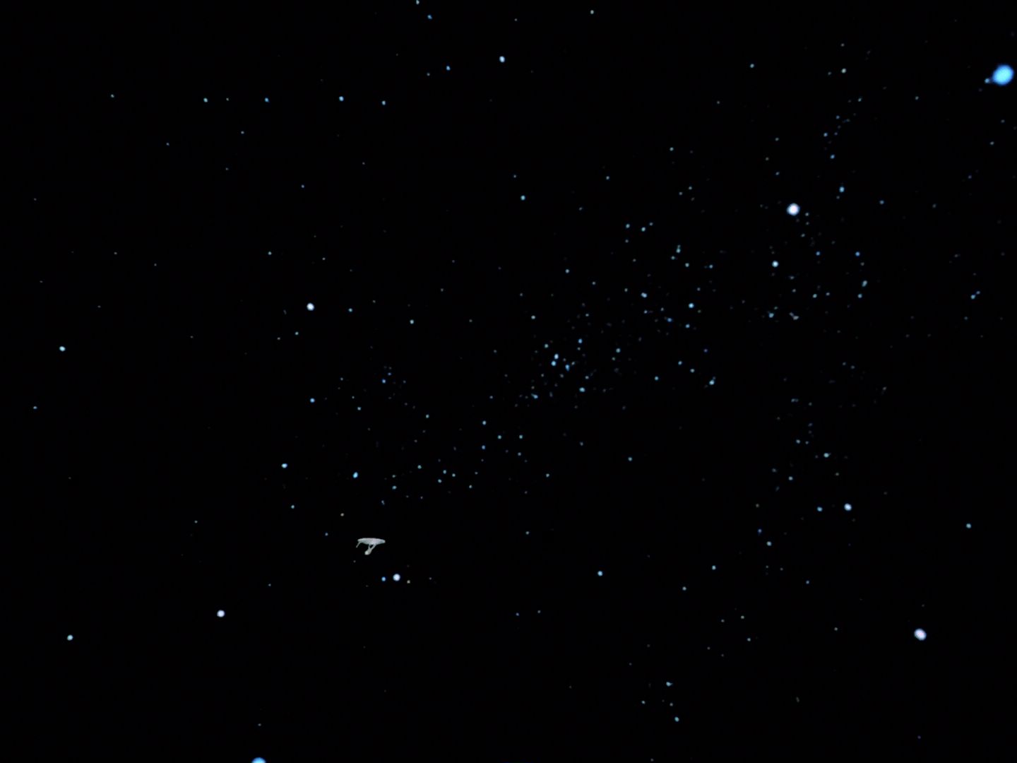 ariane179254_StarTrek_2x06_TheDoomsdayMachine_0005.jpg