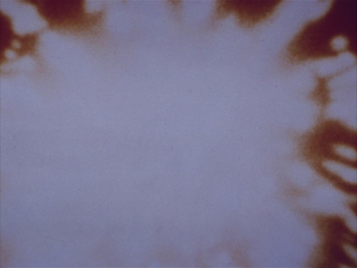 ariane179254_StarTrek_2x06_TheDoomsdayMachine_2715.jpg