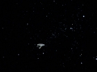 Filename=ariane179254_StarTrek_2x06_TheDoomsdayMachine_0010.jpg
Filesize=28KiB
Dimensions=1440x1080
Date added=Jun 22, 2015 ariane179254_StarTrek_2x06_TheDoomsdayMachine_0010.jpg
