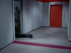 ariane179254_StarTrek_2x06_TheDoomsdayMachine_2436.jpg