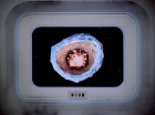 Filename=ariane179254_StarTrek_2x06_TheDoomsdayMachine_3148.jpg
Filesize=120KiB
Dimensions=1440x1080
Date added=Jun 23, 2015 ariane179254_StarTrek_2x06_TheDoomsdayMachine_3148.jpg