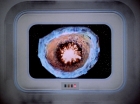 ariane179254_StarTrek_2x06_TheDoomsdayMachine_3177.jpg