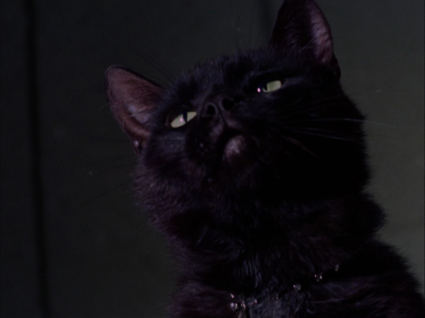 ariane179254_StarTrek_2x07_Catspaw_0731.jpg