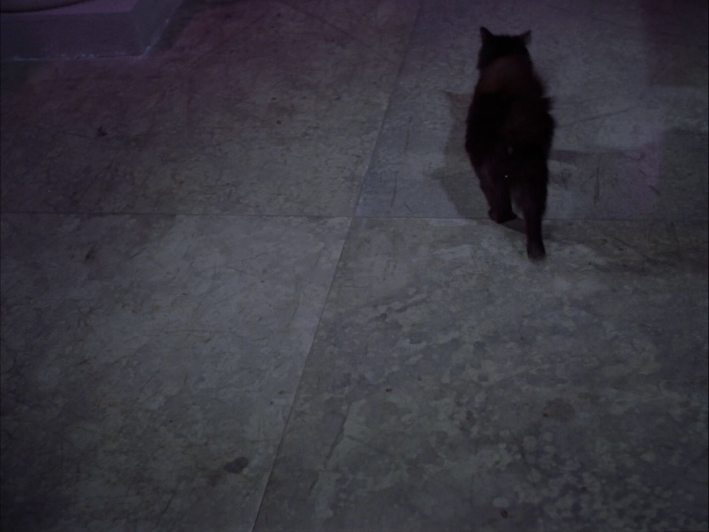 ariane179254_StarTrek_2x07_Catspaw_0740.jpg