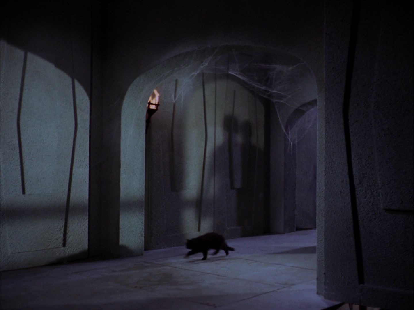 ariane179254_StarTrek_2x07_Catspaw_0887.jpg