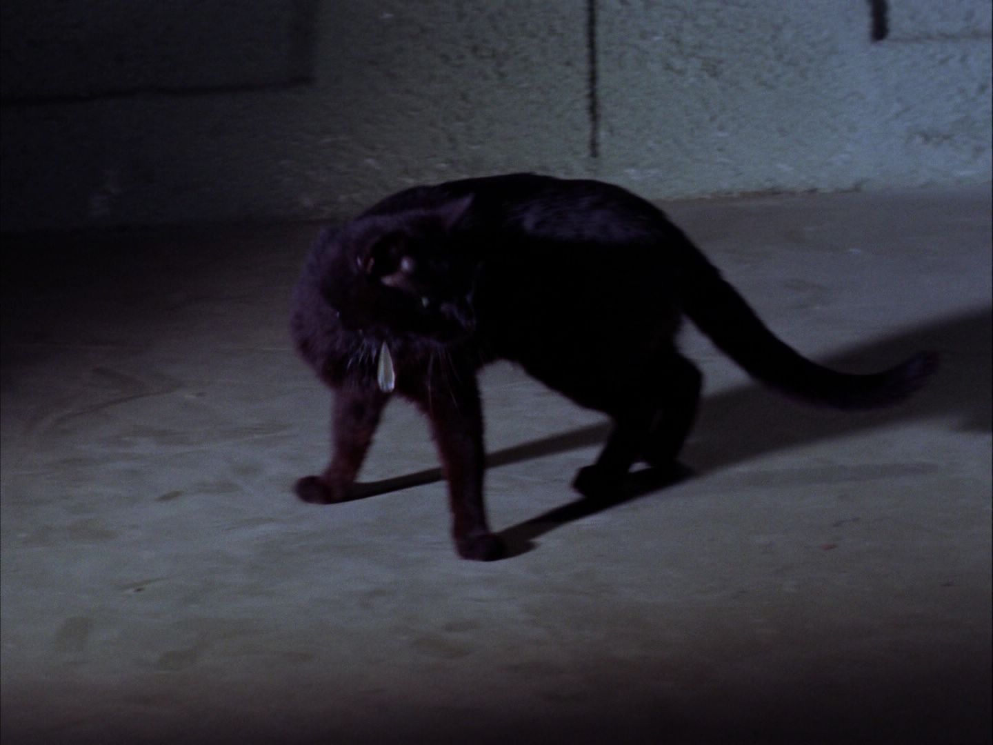 ariane179254_StarTrek_2x07_Catspaw_0895.jpg