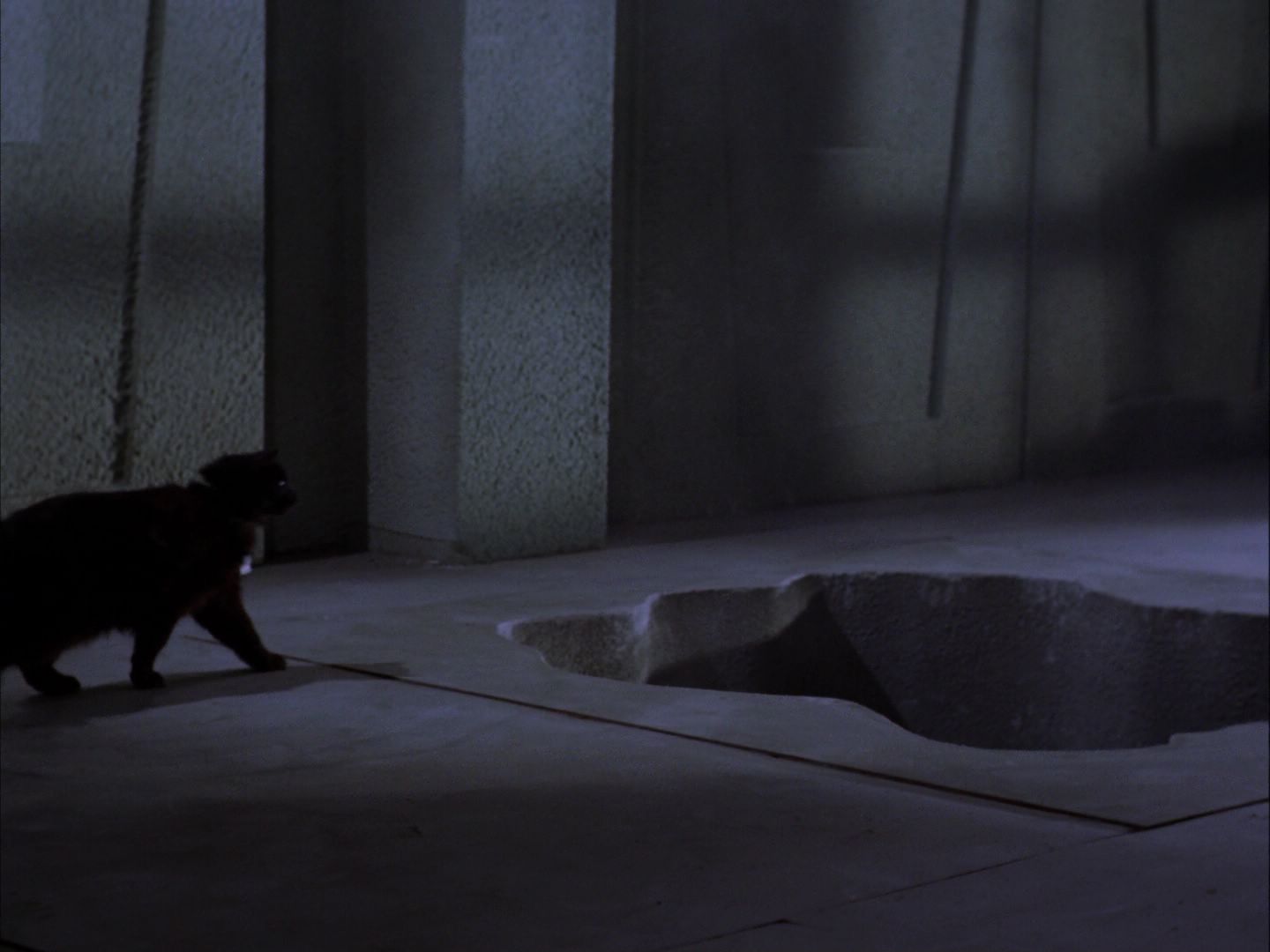ariane179254_StarTrek_2x07_Catspaw_0898.jpg
